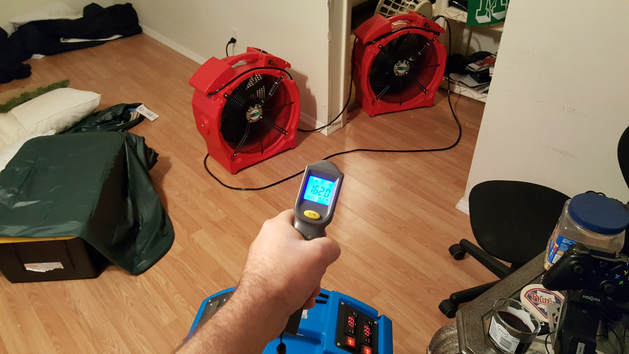 EntoLogic technician performing bed bug heat or chemical treatment