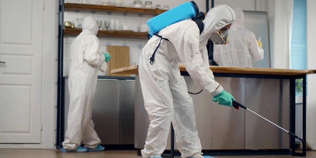 What Role Do Commercial Pest Control Services Play in Food Safety Management?