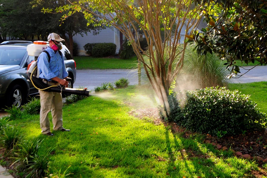 EntoLogic technician performing mosquito yard treatment in South Florida