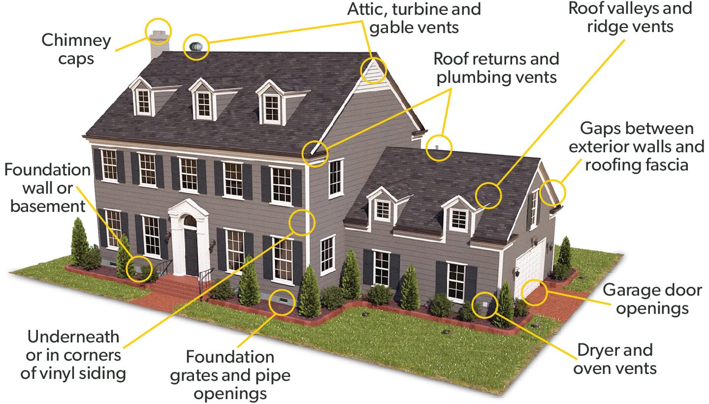 Wildlife entry point damage on a South Florida home roofline